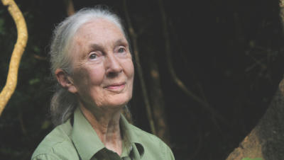 Dr. Jane Goodall